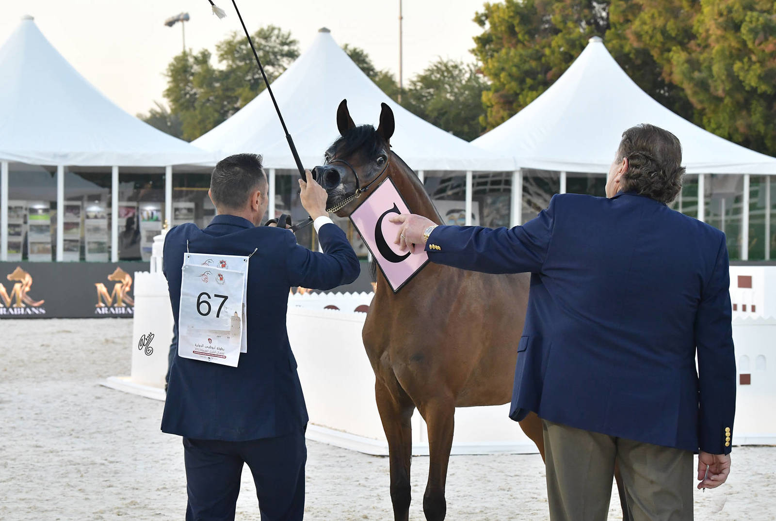 Fillies 2 Years Old: Dhabia K 