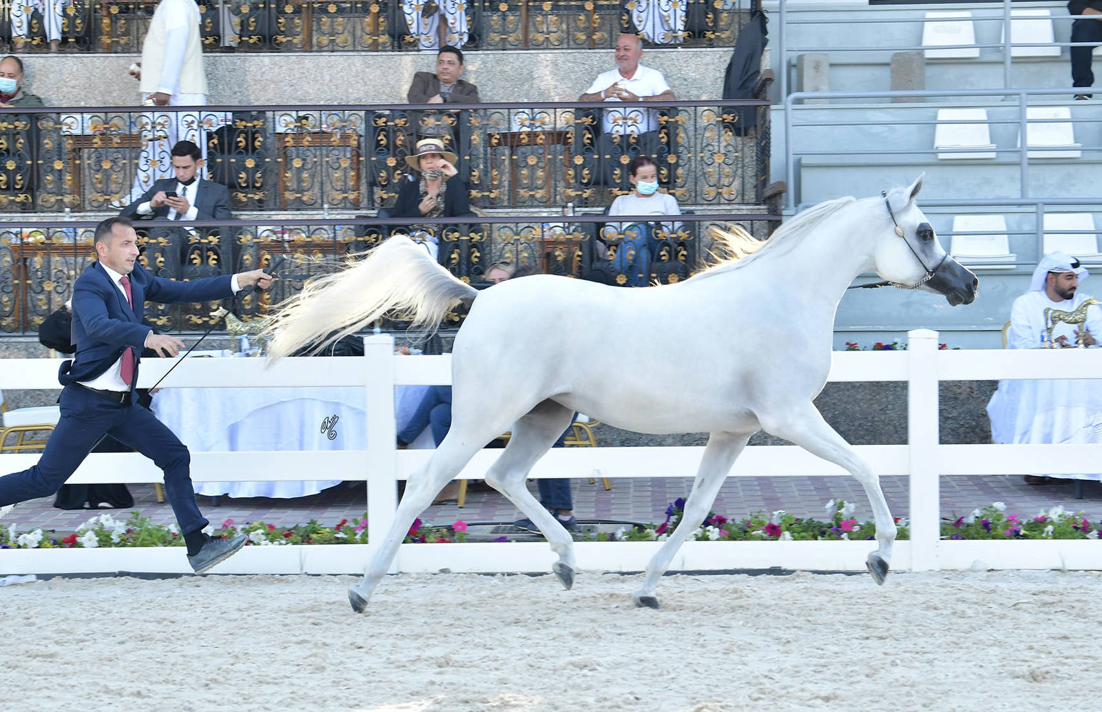 Fillies 2 Years Old: Remas Al Remas 