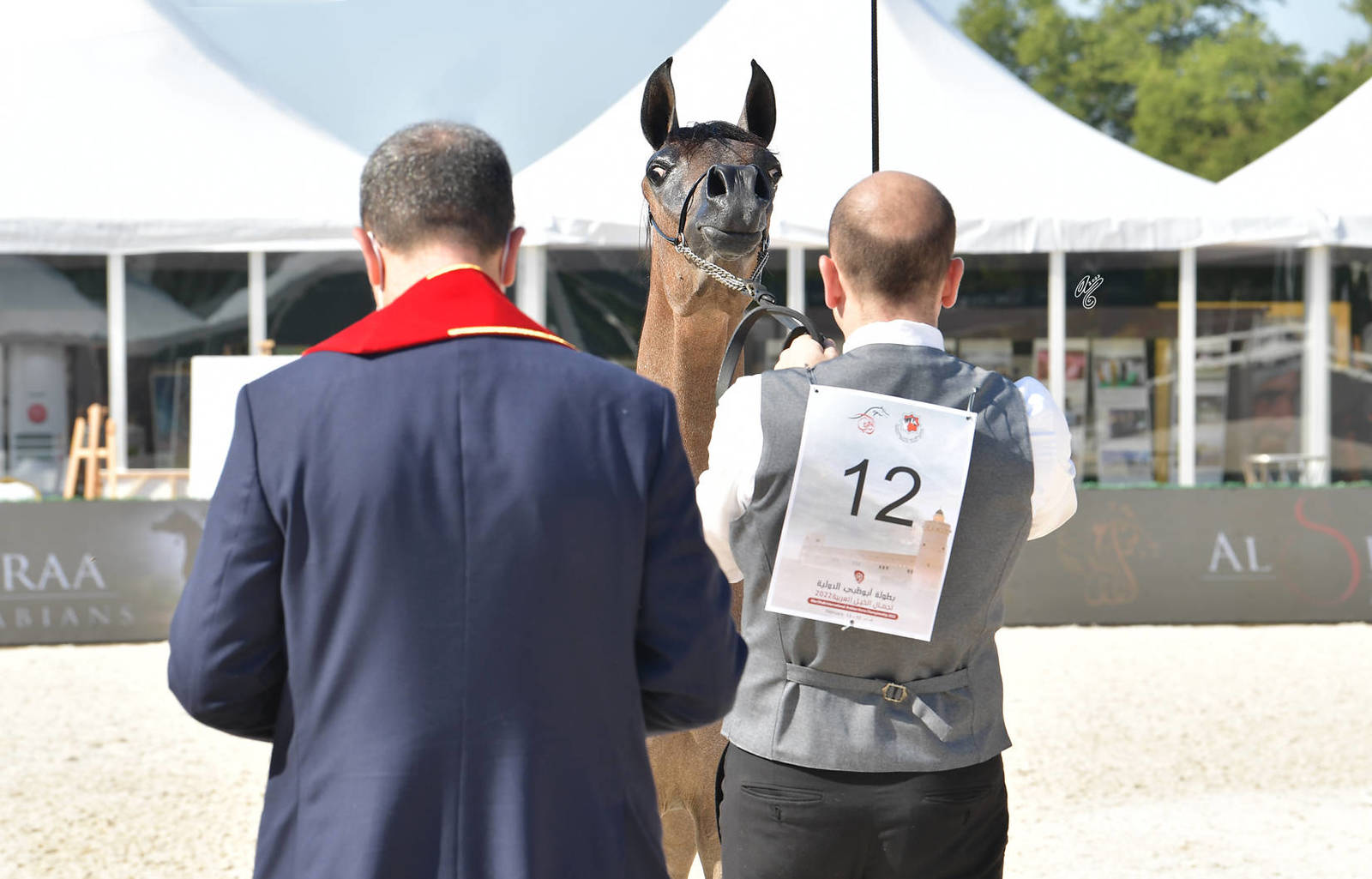 Yearling Filly: MDS Rouda 