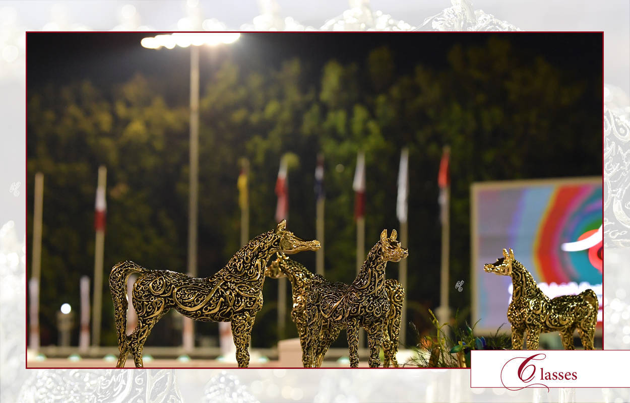 Lisa Abraham: The 2022 Abu Dhabi International Arabian Horse Championship ~ PHOTO GALLERY