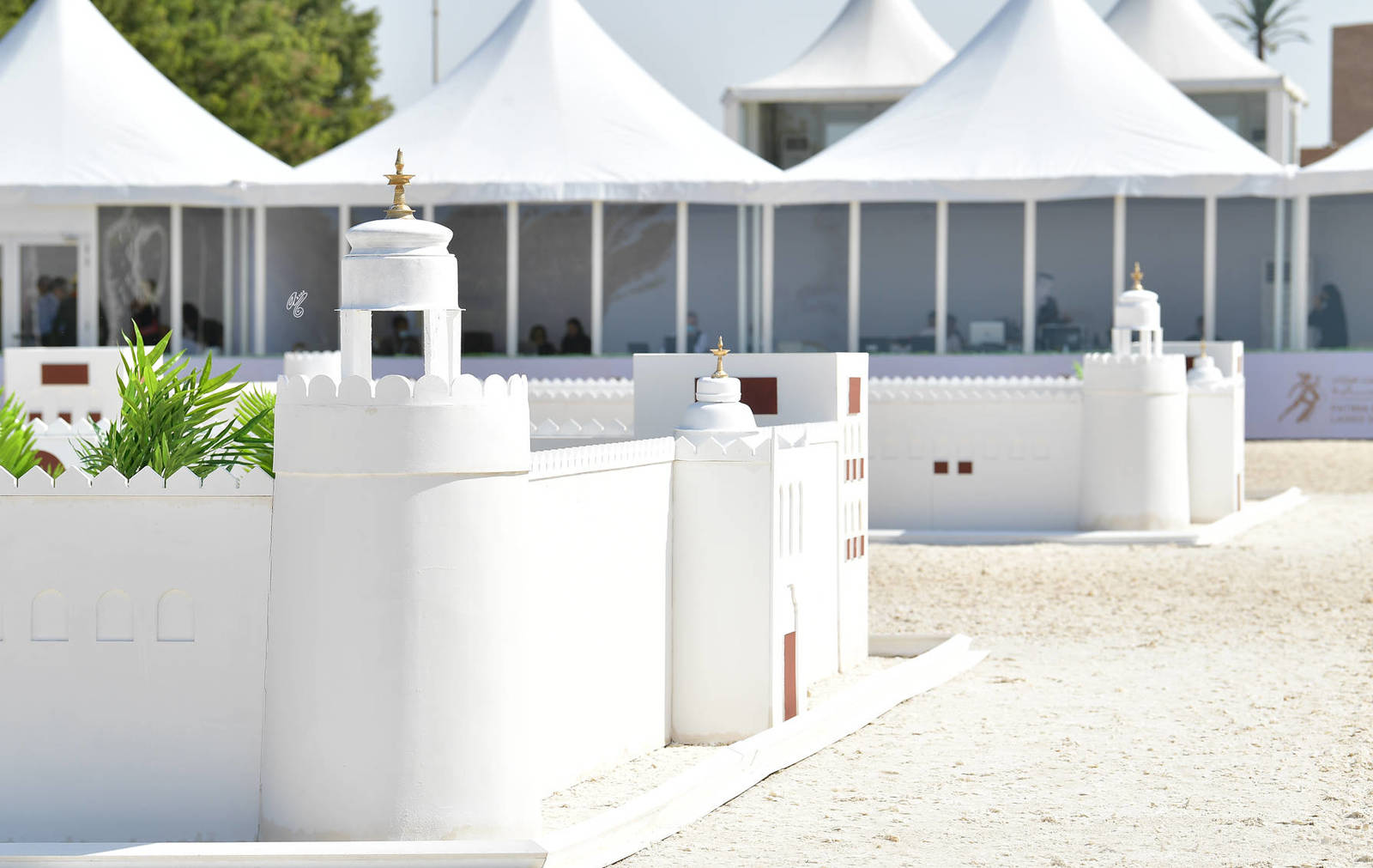 Lisa Abraham: The 2022 Abu Dhabi International Arabian Horse Championship ~ PHOTO GALLERY