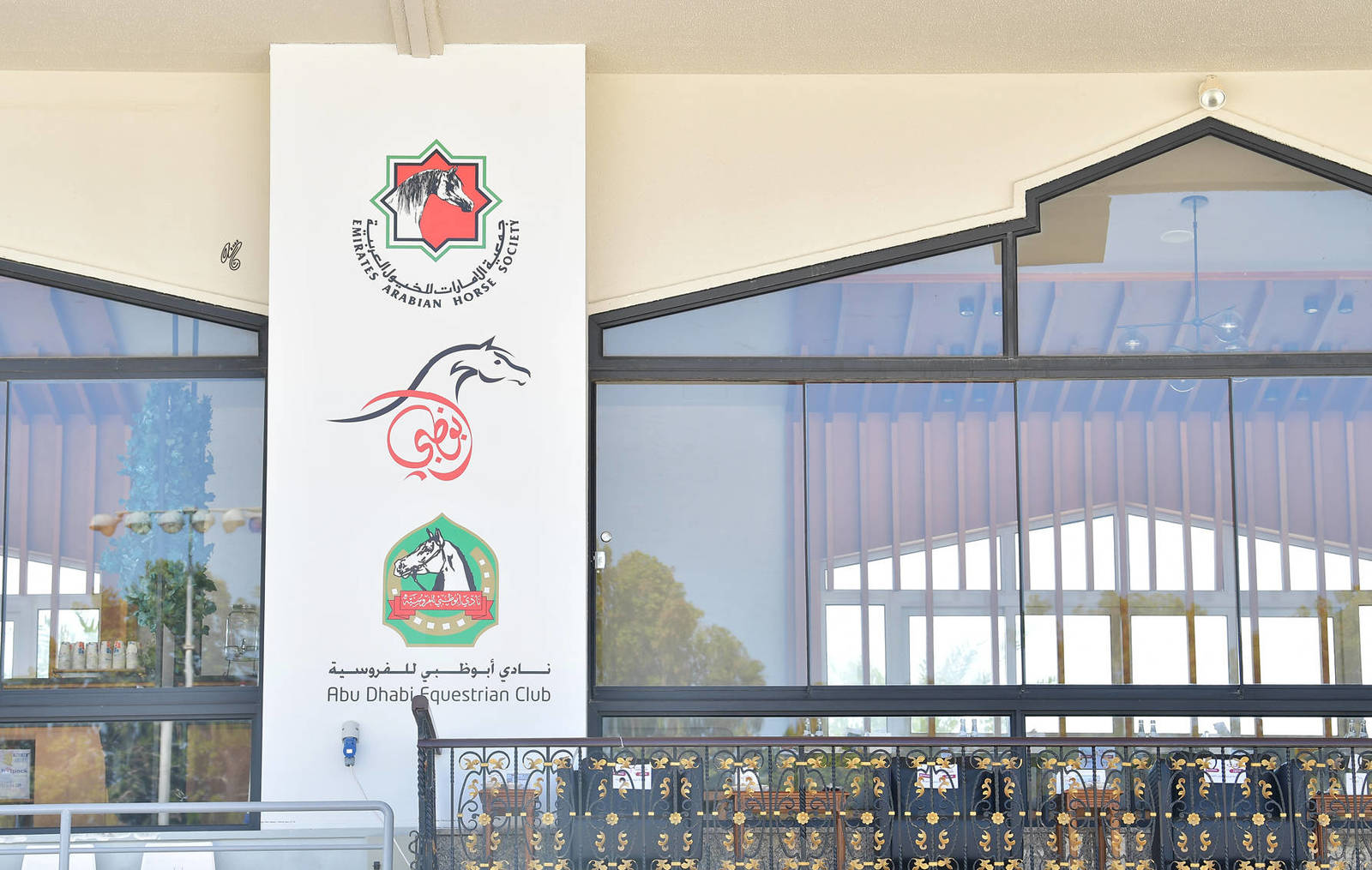 Lisa Abraham: The 2022 Abu Dhabi International Arabian Horse Championship ~ PHOTO GALLERY