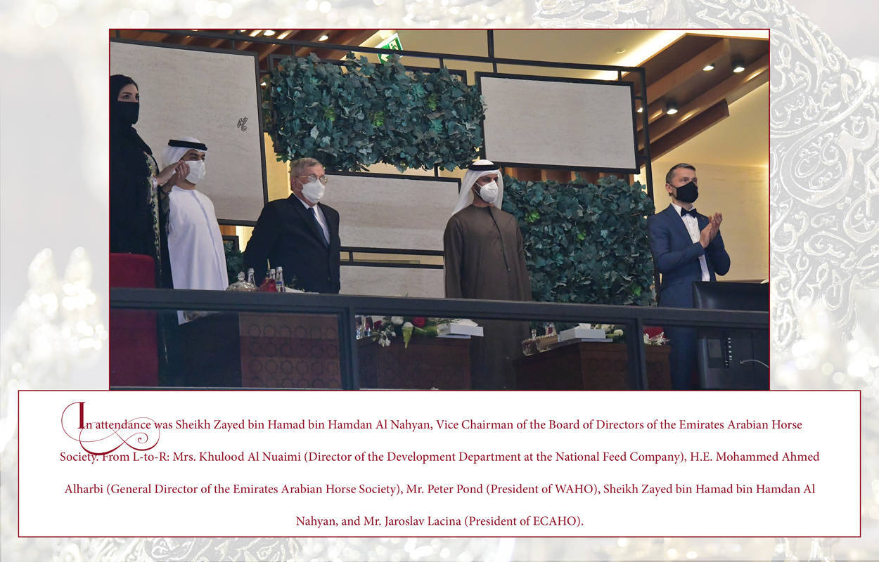 Lisa Abraham: The 2022 Abu Dhabi International Arabian Horse Championship ~ PHOTO GALLERY