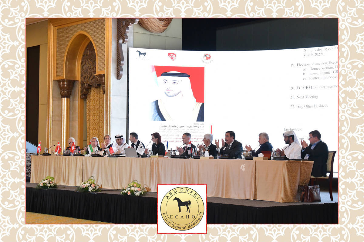 Lisa Abraham: The 2022 ECAHO AGM ~ ABU DHABI ~ Hosted by the Emirates Arabian Horse Society
