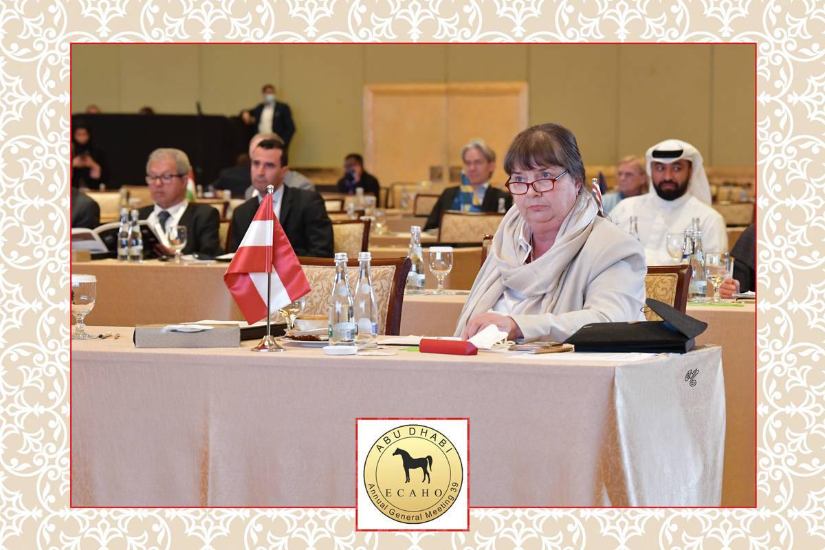 Lisa Abraham: The 2022 ECAHO AGM ~ ABU DHABI ~ Hosted by the Emirates Arabian Horse Society