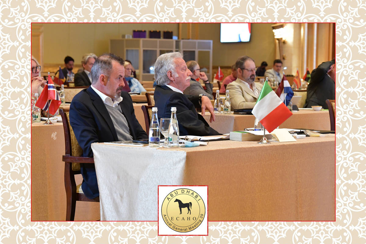 Lisa Abraham: The 2022 ECAHO AGM ~ ABU DHABI ~ Hosted by the Emirates Arabian Horse Society