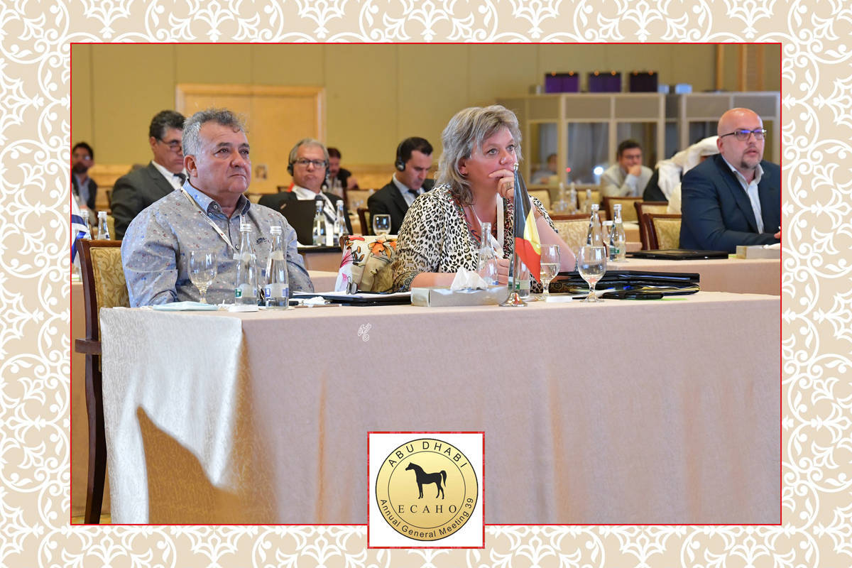 Lisa Abraham: The 2022 ECAHO AGM ~ ABU DHABI ~ Hosted by the Emirates Arabian Horse Society
