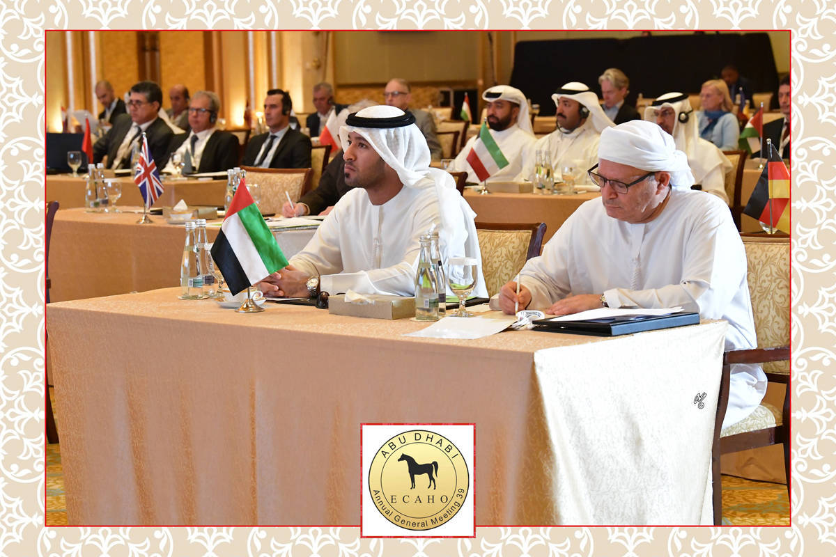 Lisa Abraham: The 2022 ECAHO AGM ~ ABU DHABI ~ Hosted by the Emirates Arabian Horse Society