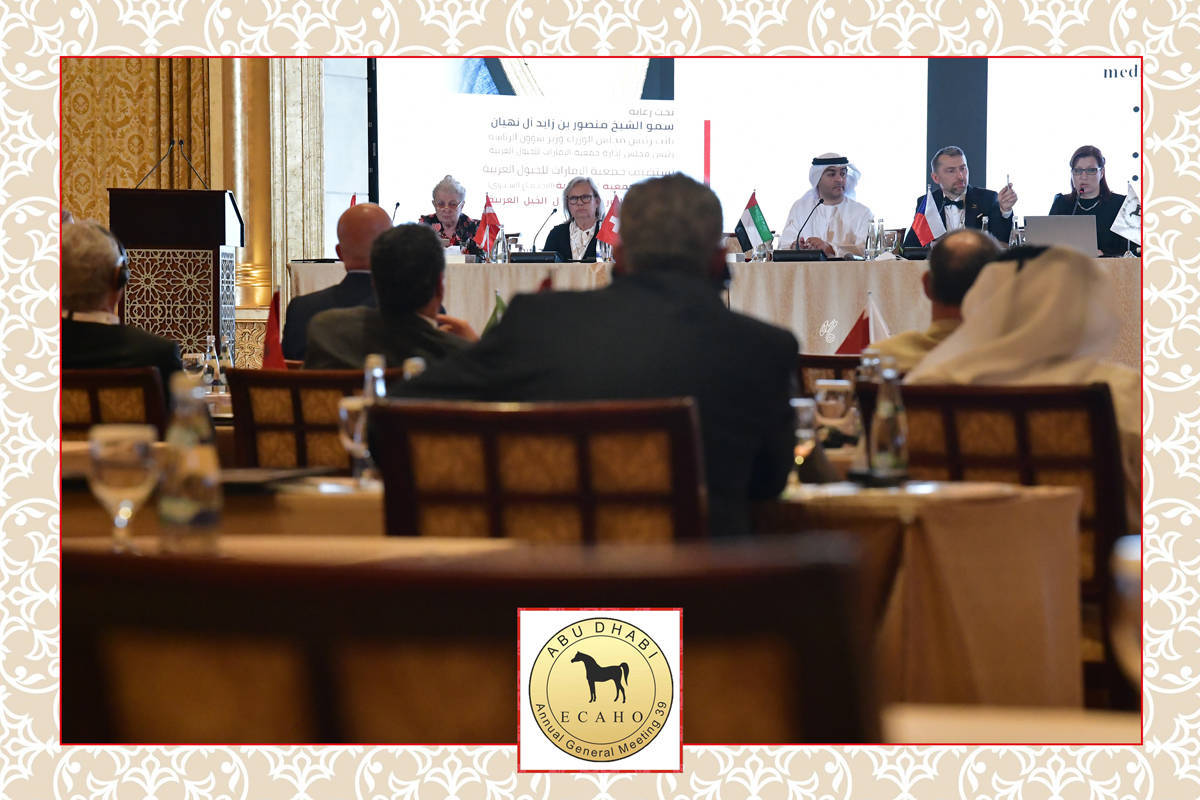 Lisa Abraham: The 2022 ECAHO AGM ~ ABU DHABI ~ Hosted by the Emirates Arabian Horse Society