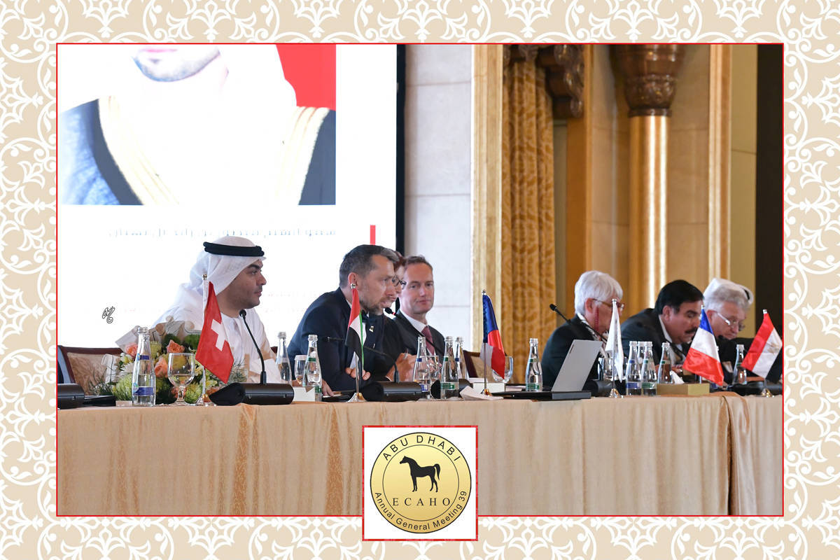 Lisa Abraham: The 2022 ECAHO AGM ~ ABU DHABI ~ Hosted by the Emirates Arabian Horse Society