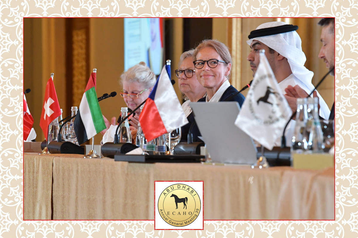 Lisa Abraham: The 2022 ECAHO AGM ~ ABU DHABI ~ Hosted by the Emirates Arabian Horse Society