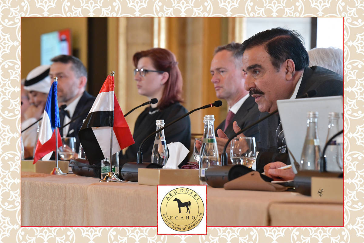 Lisa Abraham: The 2022 ECAHO AGM ~ ABU DHABI ~ Hosted by the Emirates Arabian Horse Society