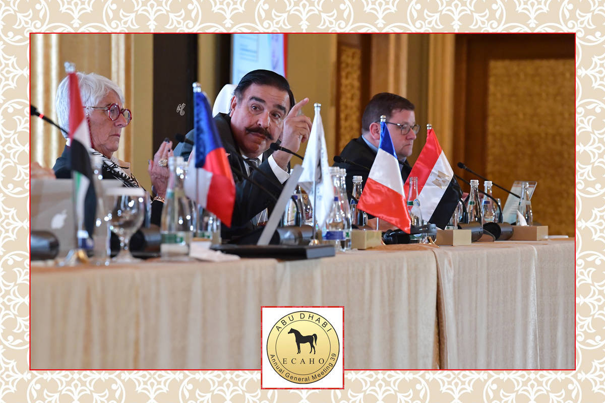 Lisa Abraham: The 2022 ECAHO AGM ~ ABU DHABI ~ Hosted by the Emirates Arabian Horse Society