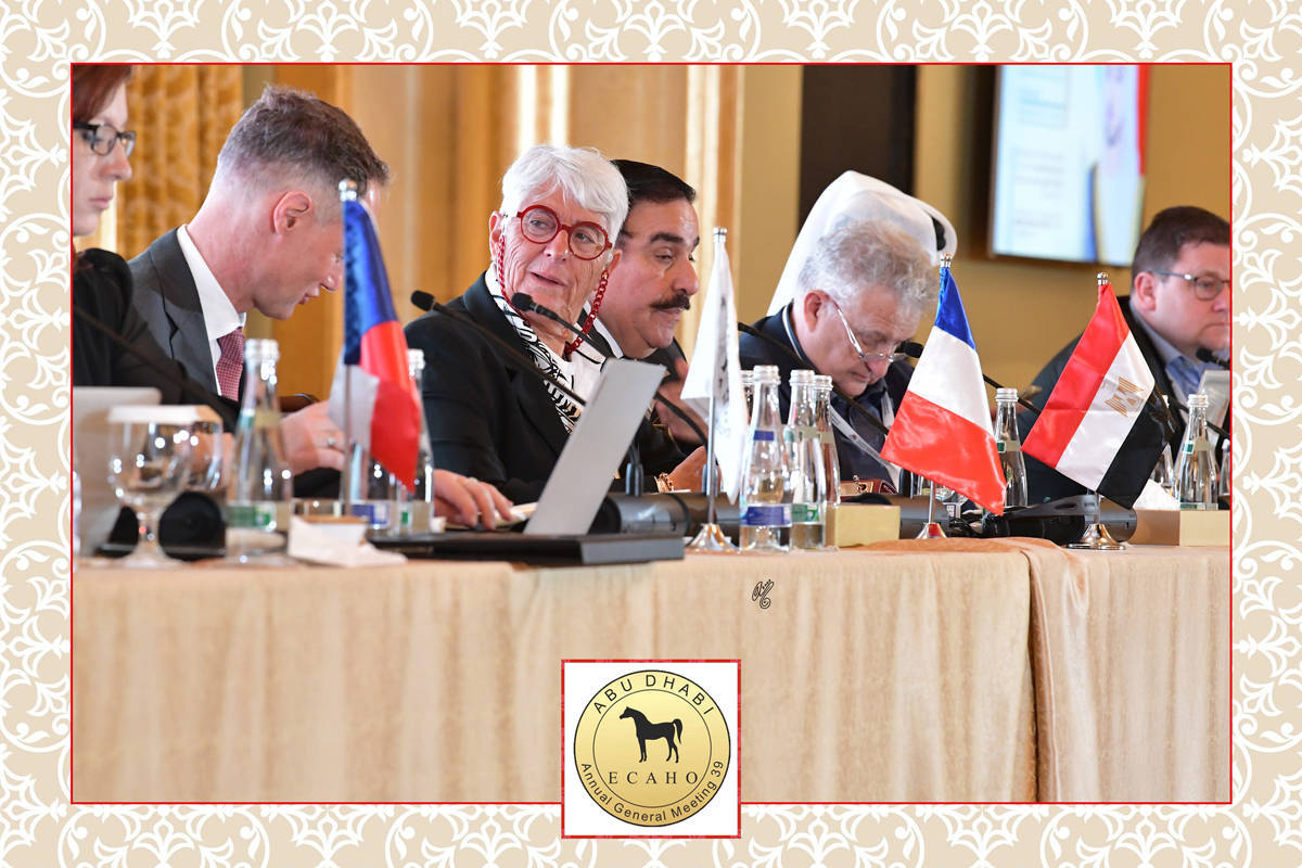 Lisa Abraham: The 2022 ECAHO AGM ~ ABU DHABI ~ Hosted by the Emirates Arabian Horse Society