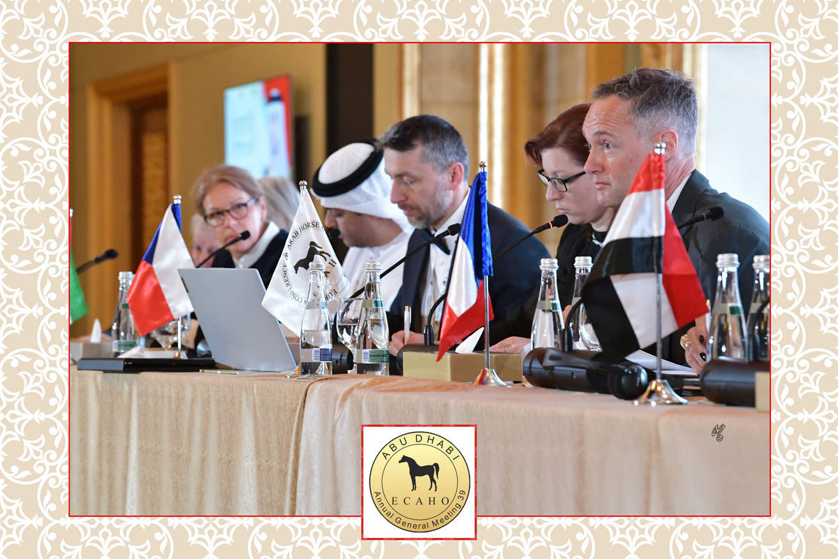 Lisa Abraham: The 2022 ECAHO AGM ~ ABU DHABI ~ Hosted by the Emirates Arabian Horse Society