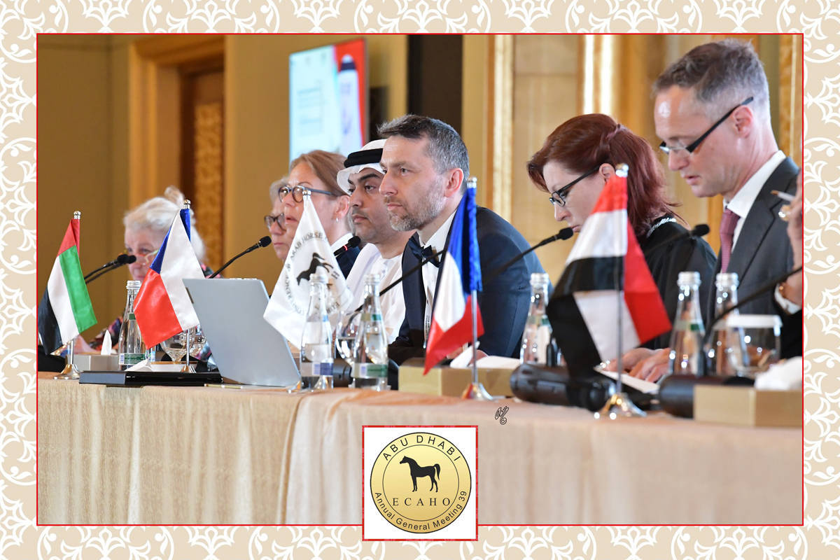 Lisa Abraham: The 2022 ECAHO AGM ~ ABU DHABI ~ Hosted by the Emirates Arabian Horse Society