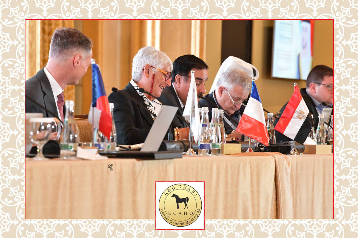 Lisa Abraham: The 2022 ECAHO AGM ~ ABU DHABI ~ Hosted by the Emirates Arabian Horse Society