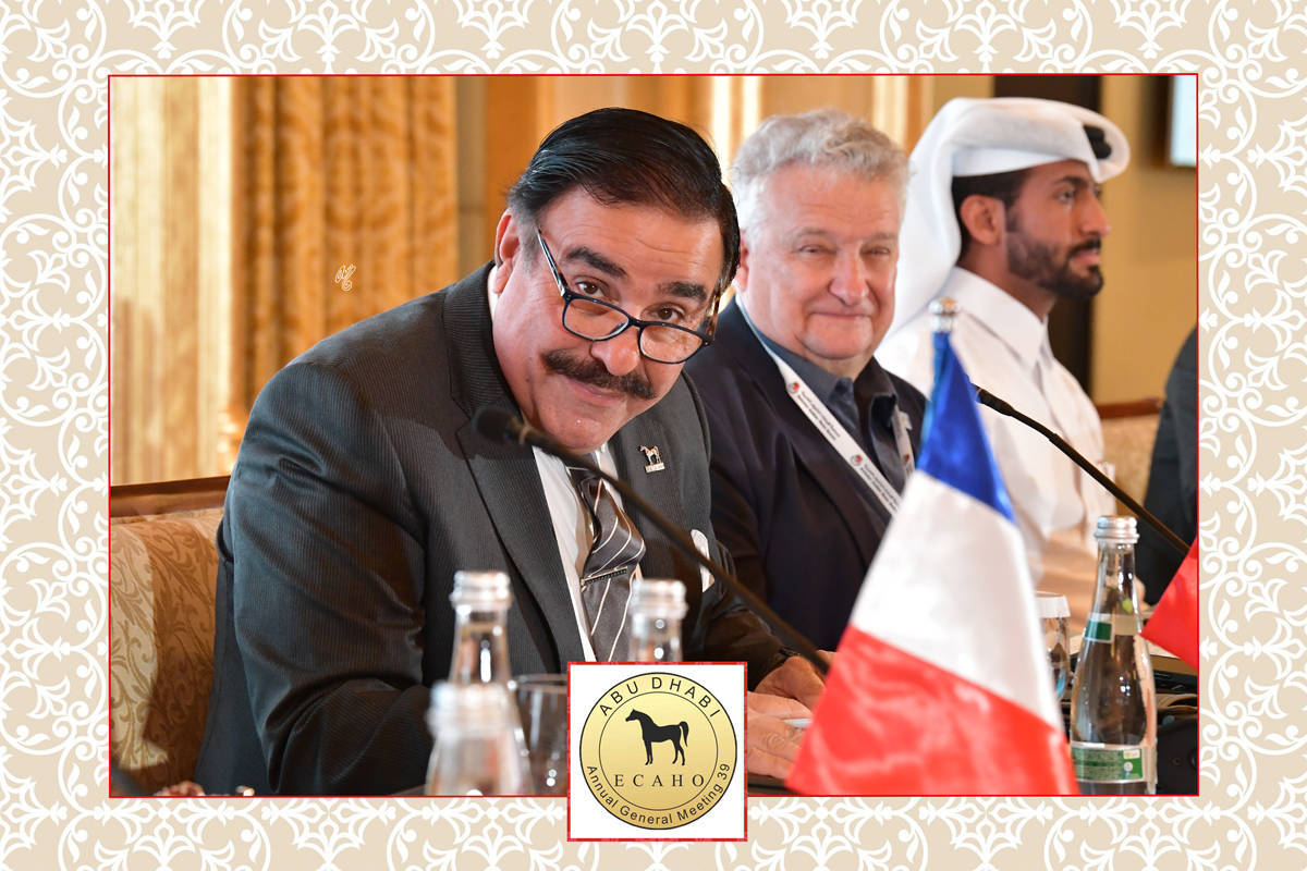 Lisa Abraham: The 2022 ECAHO AGM ~ ABU DHABI ~ Hosted by the Emirates Arabian Horse Society