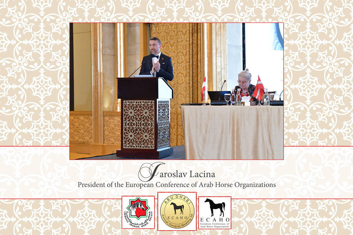 Lisa Abraham: The 2022 ECAHO AGM ~ ABU DHABI ~ Hosted by the Emirates Arabian Horse Society