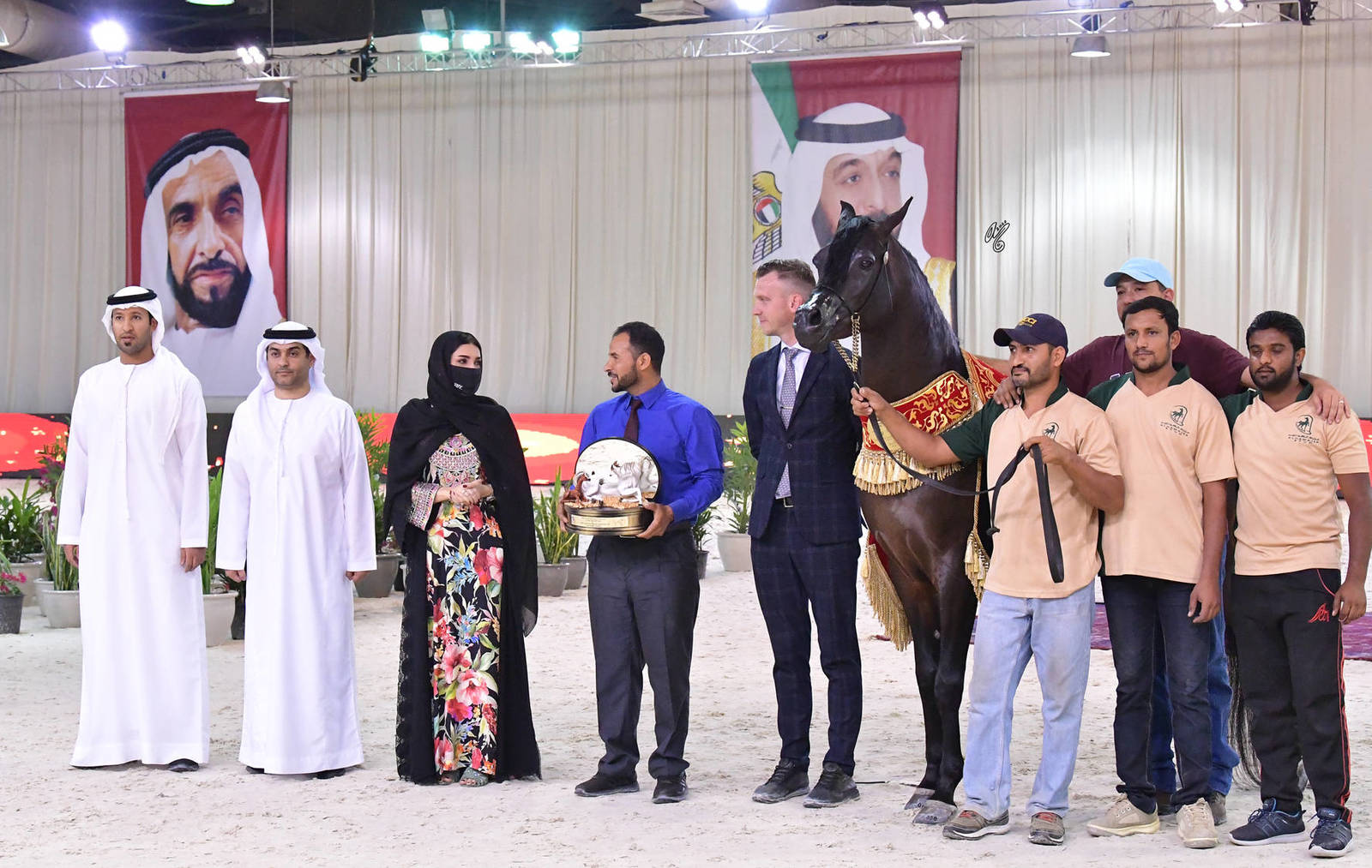 Senior Stallion Gold Champion: Farid Al Hawajer (RFI Farid X Jameelah Al Hawajer)  