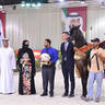 Senior Stallion Gold Champion: Farid Al Hawajer (RFI Farid X Jameelah Al Hawajer)  
