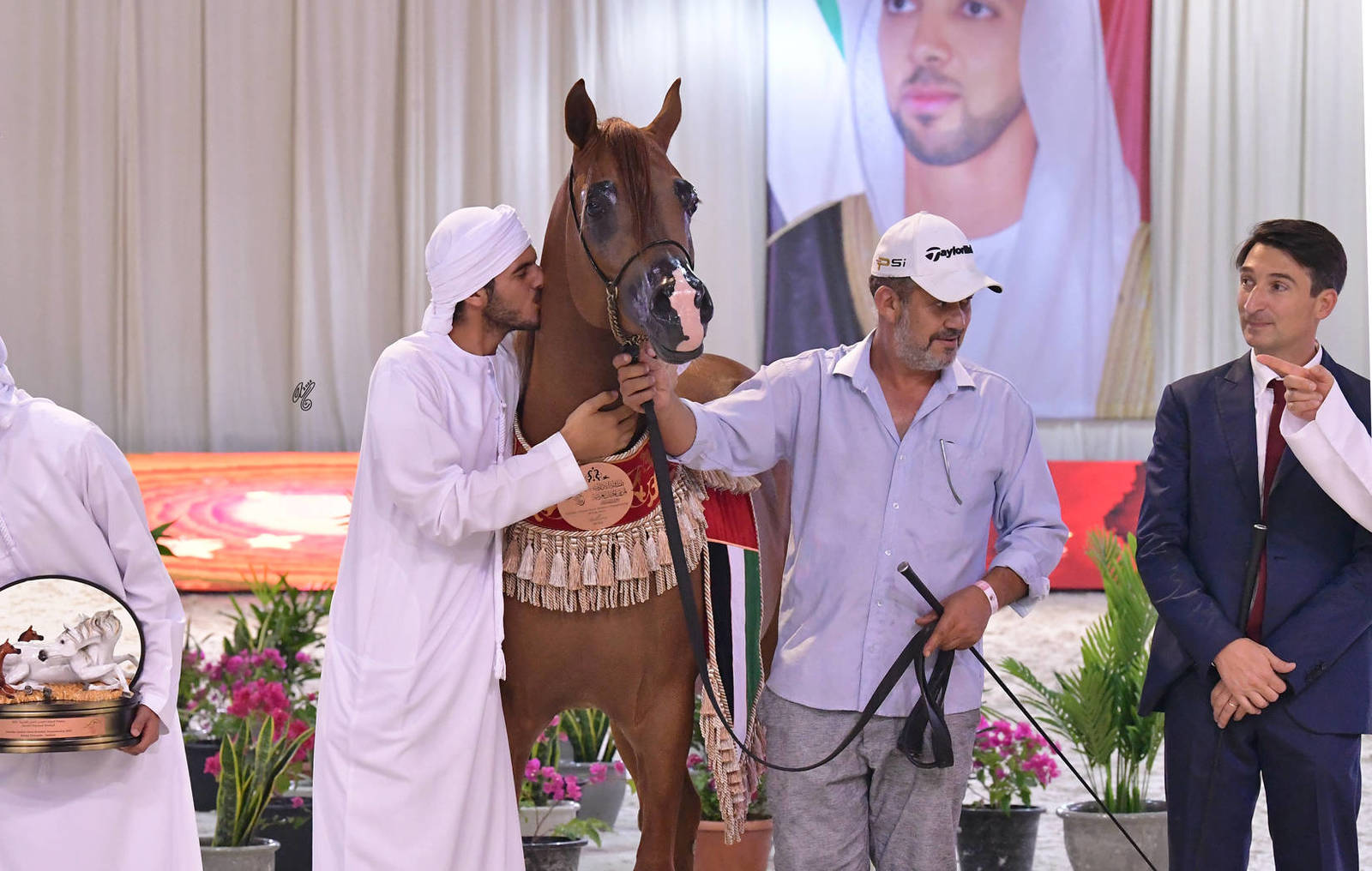 Senior Stallion Bronze Champion: M.O Dahab (E.S Harir X JJ Diamond of Marwan)