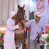 Senior Stallion Bronze Champion: M.O Dahab (E.S Harir X JJ Diamond of Marwan)