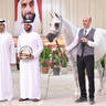 Senior Mare Gold Champion: Masa BHM (Moharib Al Khazna X Al Khazna Manal)