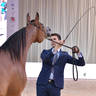 Senior Mare Bronze Champion: Rooh Aletehad (AJ Portofino X Al Aryam Al Reem)
