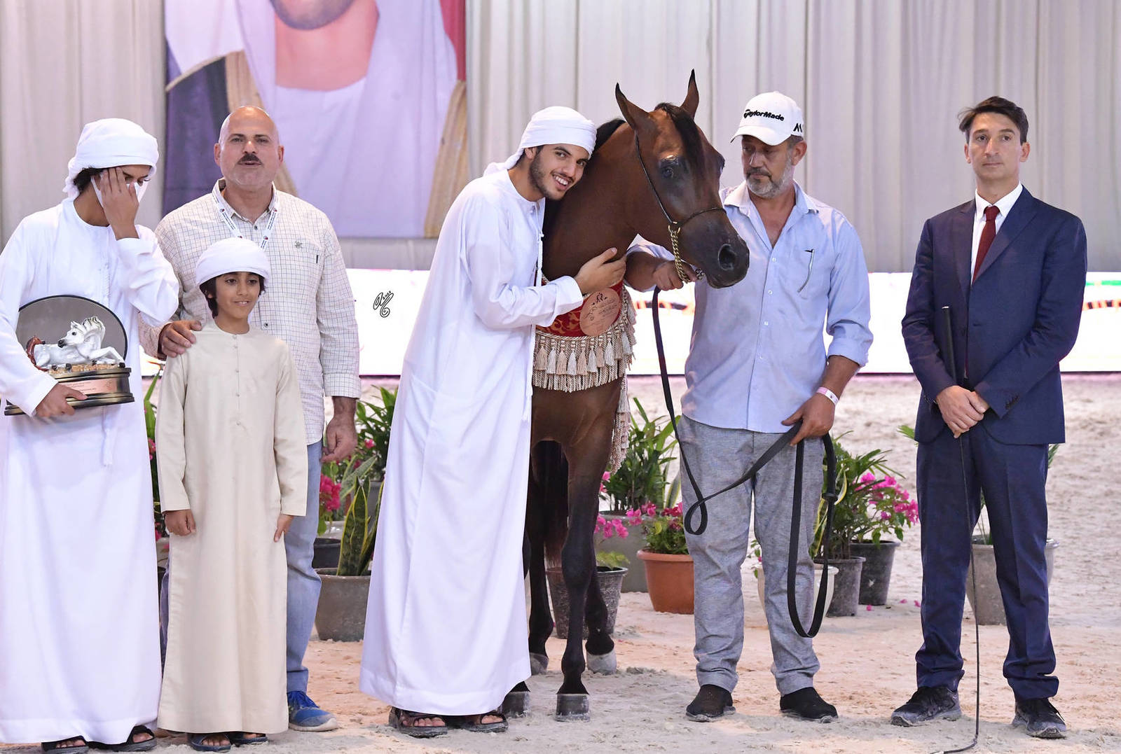 Junior Colt Bronze Champion: M.O Antar (SQ Shaddad X M.O Mazyouna) 