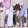 Junior Colt Bronze Champion: M.O Antar (SQ Shaddad X M.O Mazyouna) 