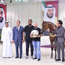 Junior Filly Gold Champion: Bahiya S B M (FA El Rasheem X Muranas Je Taime)