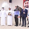 Junior Filly Silver Champion: JS Raneem (E.S. Harir X D Na'amah)  