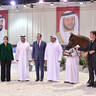 Junior Filly Bronze Champion: Paris Al Jawaher (FA El Rasheem X D Enas) 