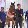 Junior Filly Bronze Champion: Paris Al Jawaher (FA El Rasheem X D Enas) 