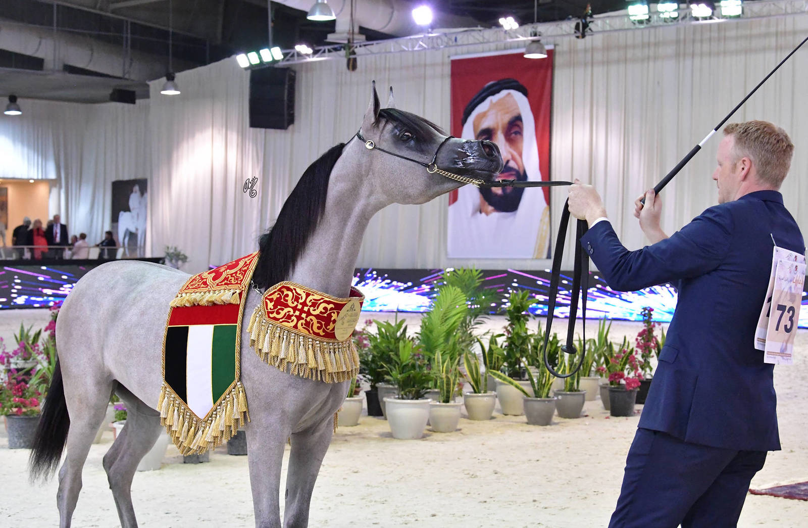 Yearling Filly Gold Champion: MZ Rafigah (A.Z. Awzan X QR Andrea)