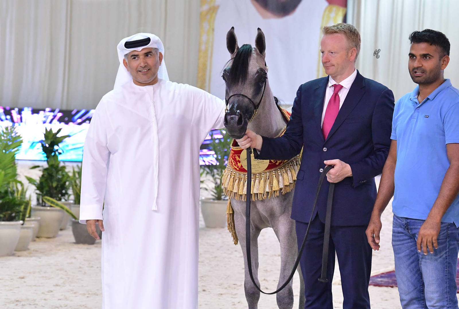 Yearling Filly Gold Champion: MZ Rafigah (A.Z. Awzan X QR Andrea)
