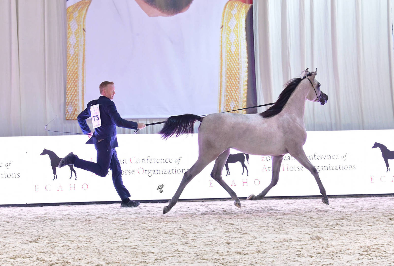 Yearling Filly Gold Champion: MZ Rafigah (A.Z. Awzan X QR Andrea)