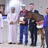 Yearling Filly Silver Champion: Baynona Al Hawajer (RFI Farid X Mai Al Hawajer)