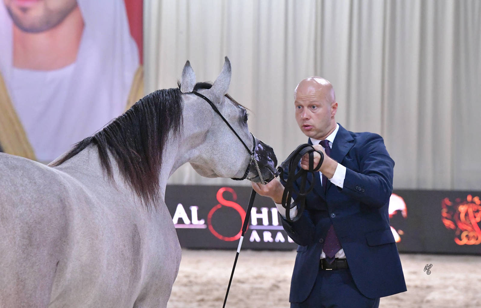 Yearling Filly Bronze Champion: AD Bdoor (AJ Azzam X Torfah Al  Zobair) 