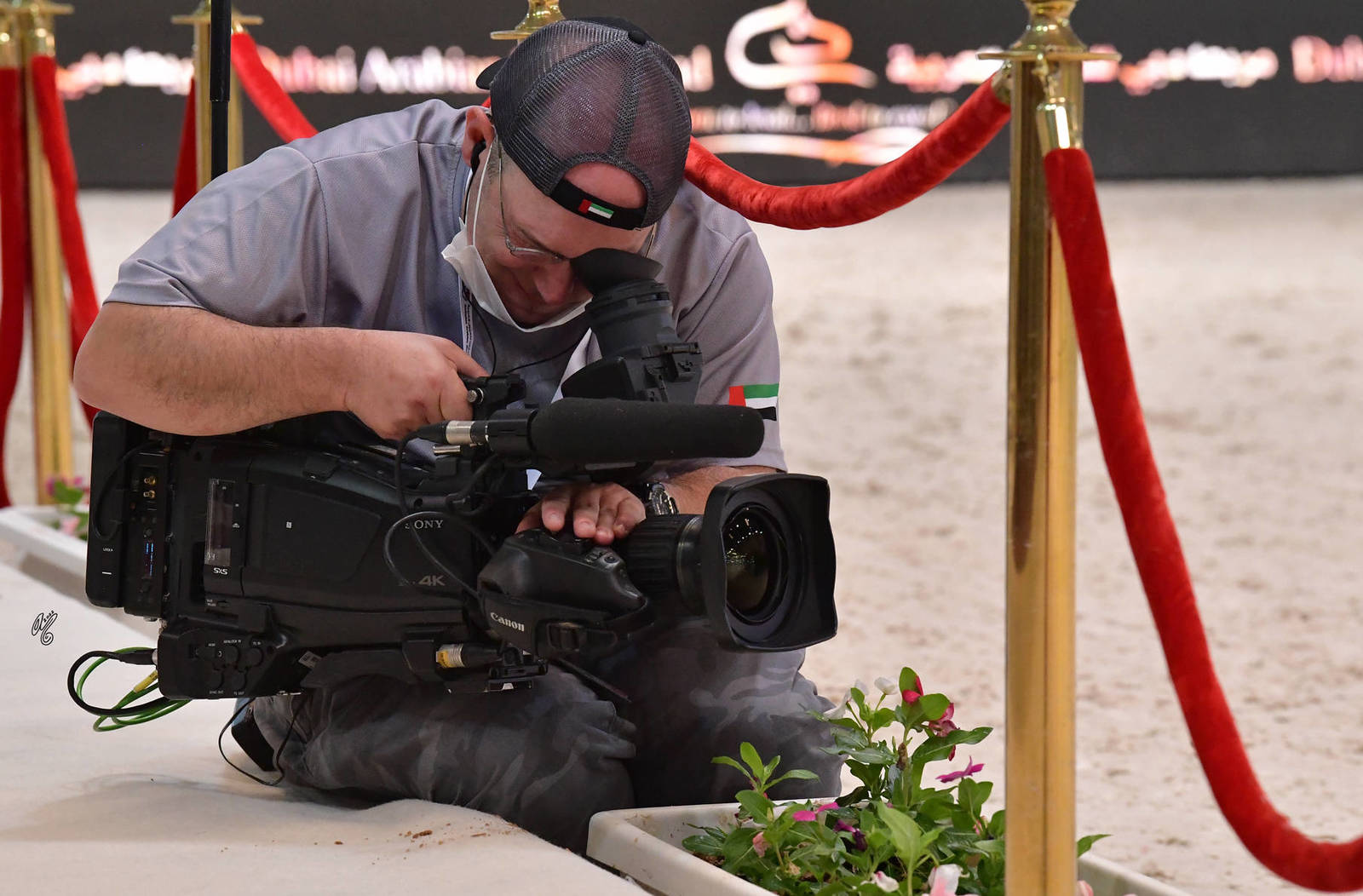 Lisa Abraham: The 2022 Emirates Arabian Horse Breeders Championship