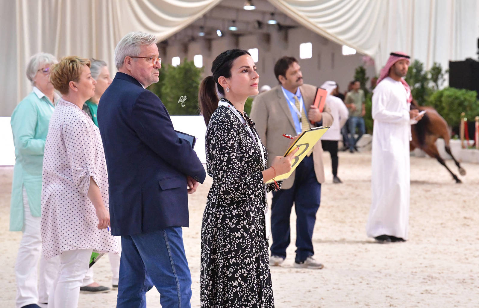 Lisa Abraham: The 2022 Emirates Arabian Horse Breeders Championship