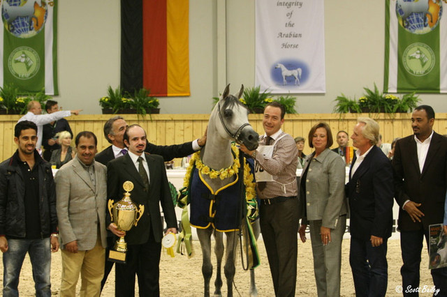 Baanderos - Baanderos
Jr. Champion Colt