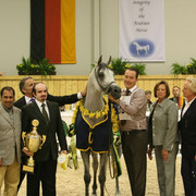 Baanderos - Baanderos
Jr. Champion Colt