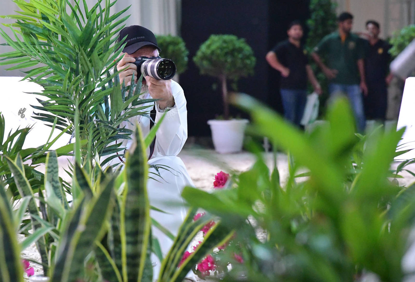 Lisa Abraham: The 2022 Emirates Arabian Horse Breeders Championship