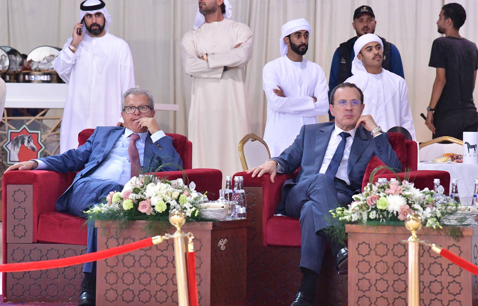 Lisa Abraham: The 2022 Emirates Arabian Horse Breeders Championship