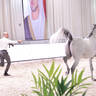 Stallions 4 Years and Older: Fakhr Albateen