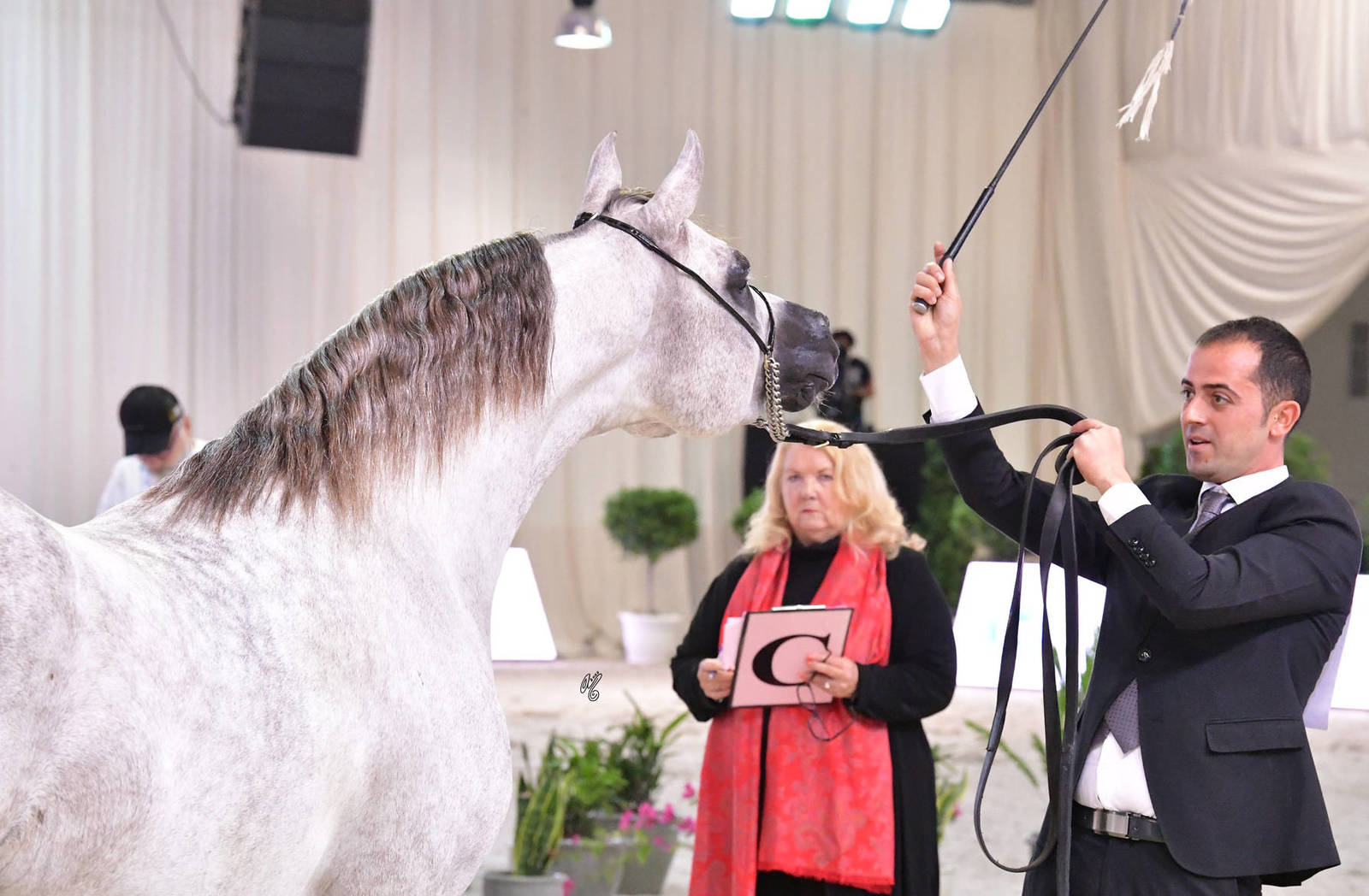 Colts 3 Years: Ammar AJH