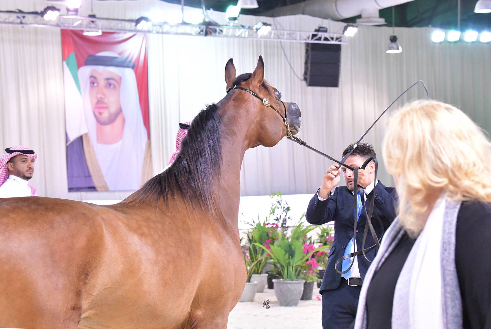 Colts 2 Years: Falah Alfalah 