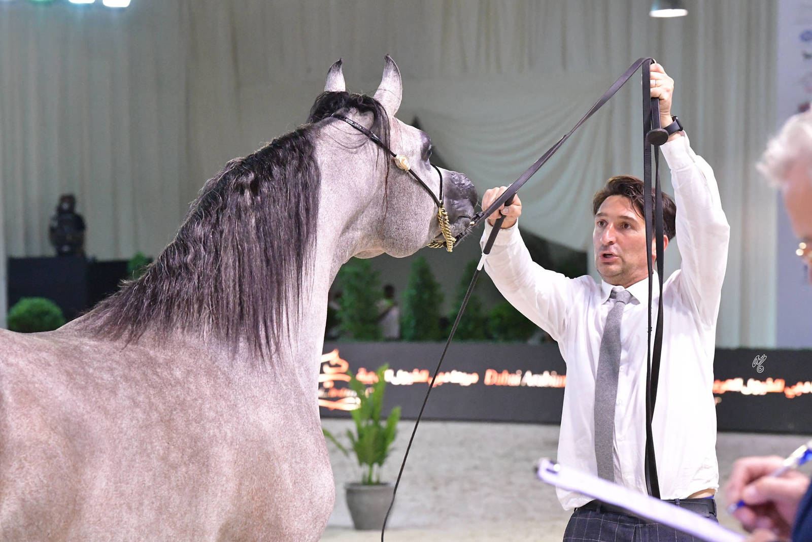 Colts 2 Years: A.L.R.  Burkan 